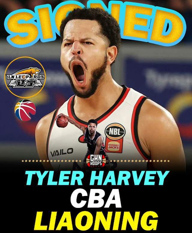 世界杯赛事直播地址-单场33+11超级外援正式重返CBA！辽篮抢人成功，能否补强最大短板